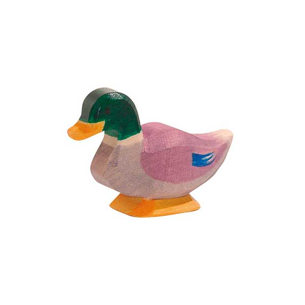 Duck Male (Ostheimer)