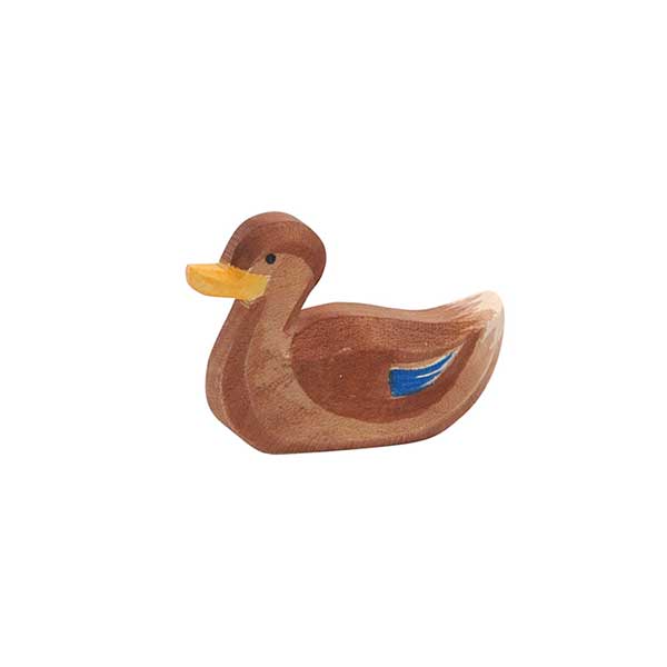 Duck Swimming (Ostheimer)