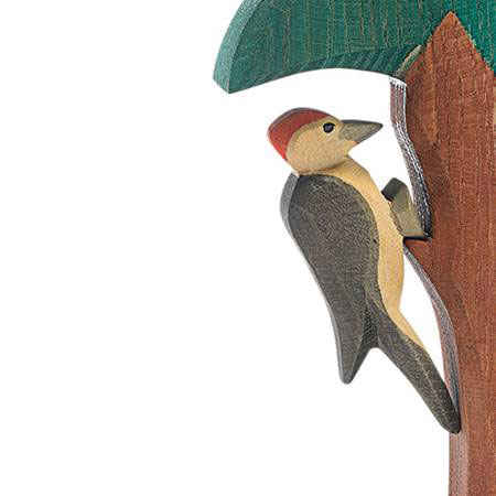 Woodpecker (Ostheimer)