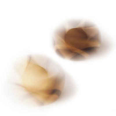 Tip Top (2 Tops by Naef)