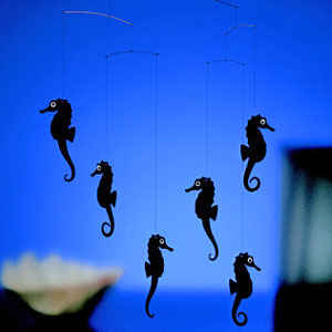 Seahorse Mobile