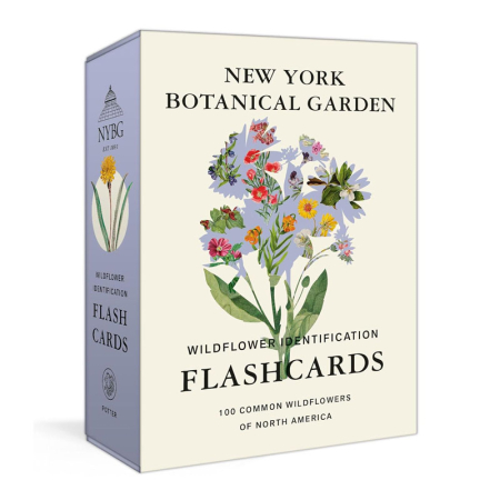 Wildflower ID Flashcards (New York Botanical Garden)
