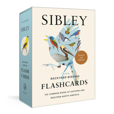 100 Common Birds of Eastern and Western North America (Sibley Backyard Birding Flashcards)