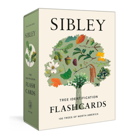 100 Trees of North America (Sibley Tree ID Flashcards)