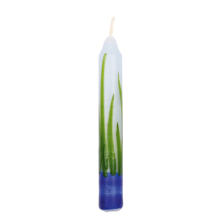 Birthday Candle Jungle