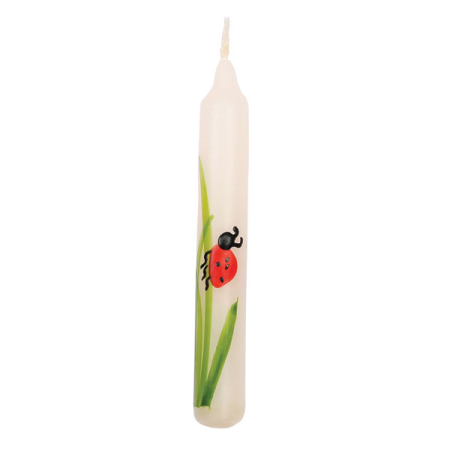 Birthday Candle Ladybug