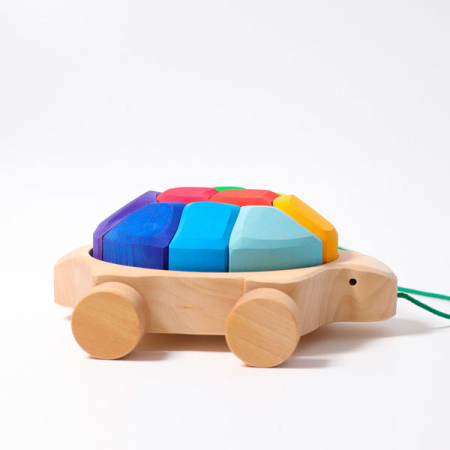 Rainbow Turtle (Grimm's)