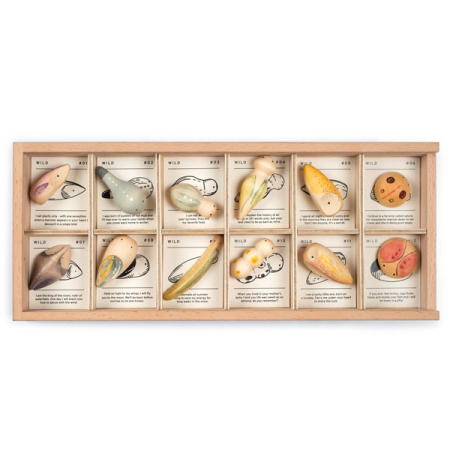 Grapat Wild Exploration Play Set
