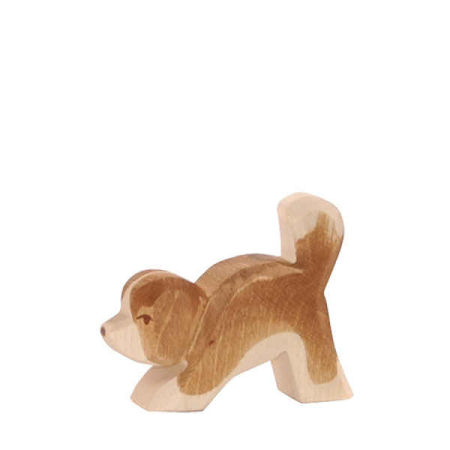 Ostheimer St Bernard Small Head Lo
