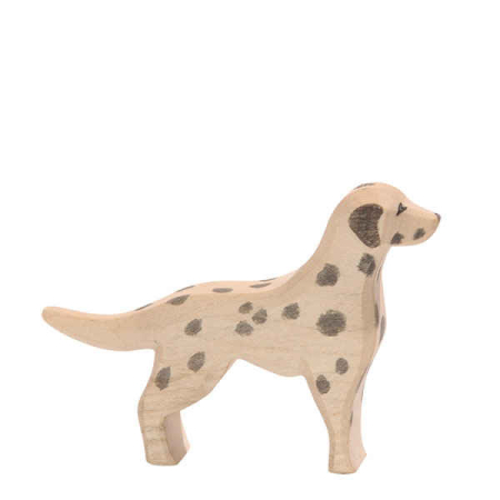 Ostheimer Dalmatian Dog
