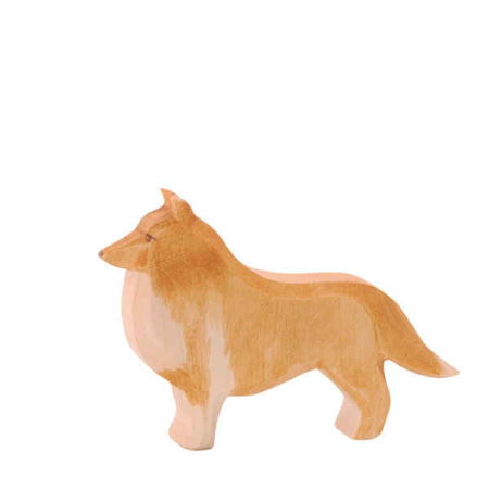 Ostheimer Collie Dog