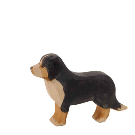 Ostheimer Bernese Mountain Dog