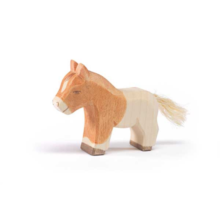 Ostheimer Shetland Pony Colt