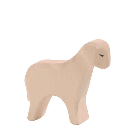 Ostheimer Sheep Standing
