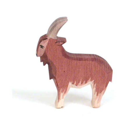 Ostheimer Goat Male