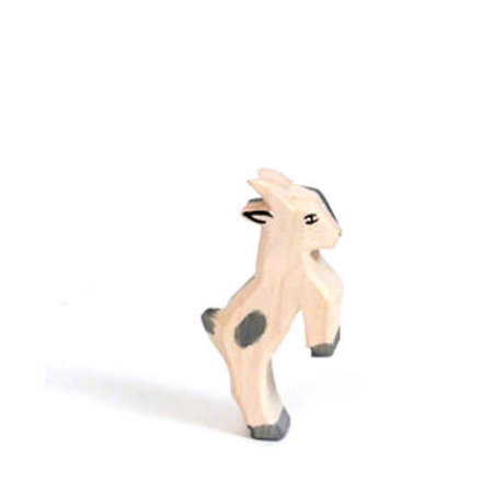 Ostheimer Goat Kid Jumping