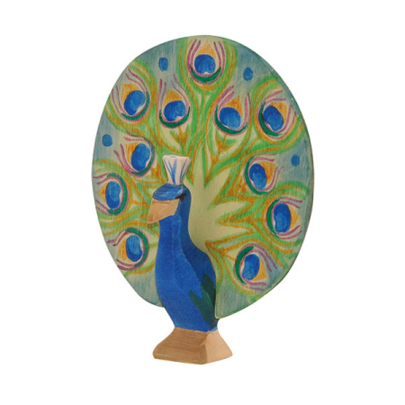 Ostheimer Peacock with Tail Open