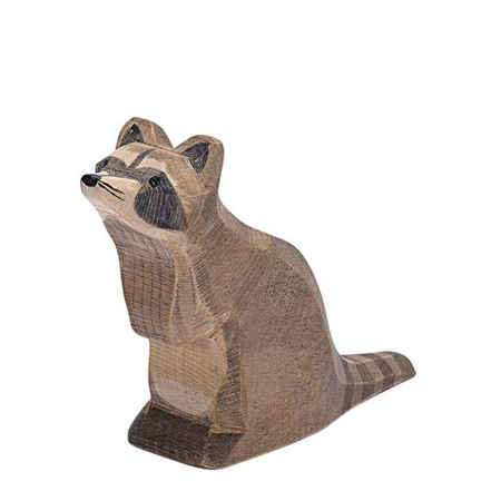 Ostheimer Raccoon Sitting