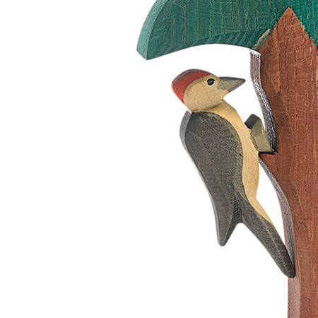Ostheimer Woodpecker
