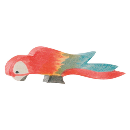 Ostheimer Multi-colored Parrot