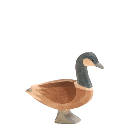 Ostheimer Canada Goose standing
