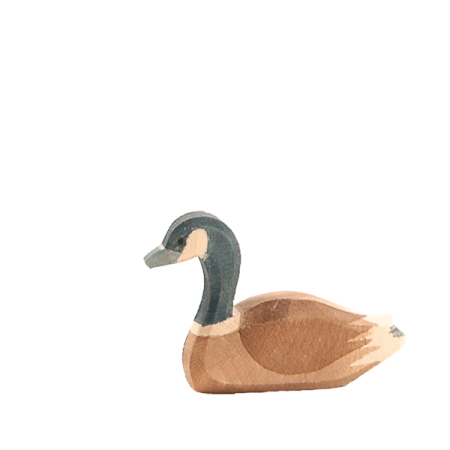 Ostheimer Canada Goose swimming