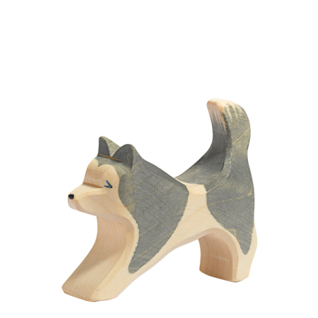 Ostheimer Sled Dog Running
