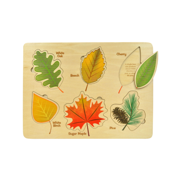 Lift & Learn Puzzle - LEAVES