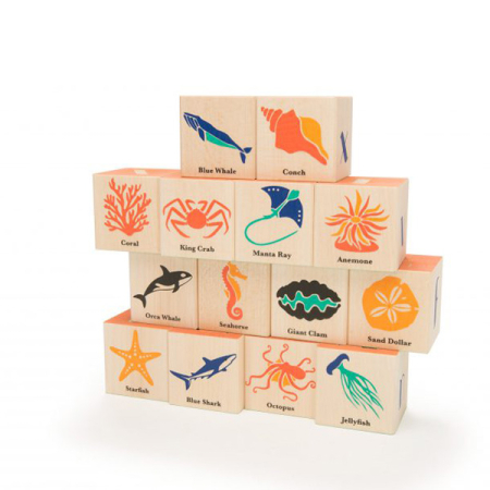 Ocean Blocks (Uncle Goose)