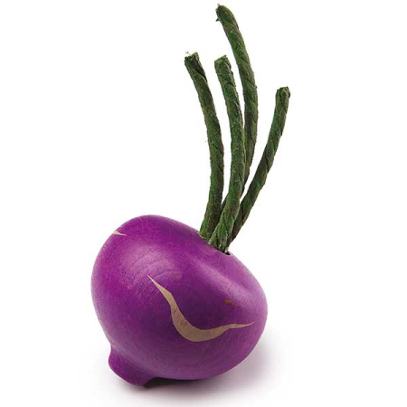 Blue Turnip Pretend Food (Erzi)