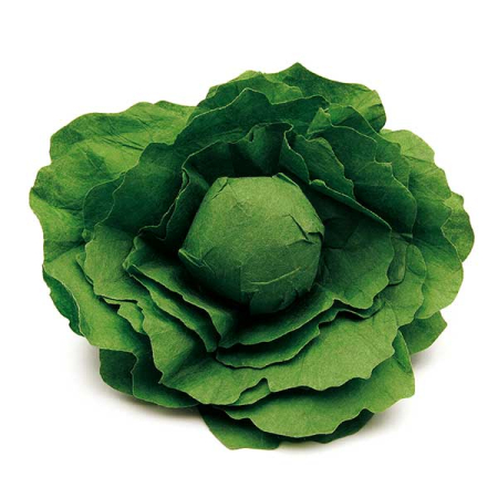 Lettuce Pretend Food (Erzi)
