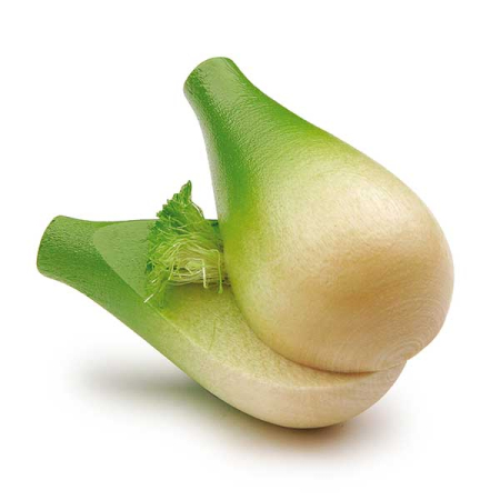Fennel Bulb Pretend Food (Erzi)