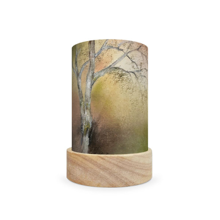 Baukje Exler - Birch Tree Lantern Shade