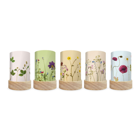 Beth Kendall - Pressed Garden Blooms shade set